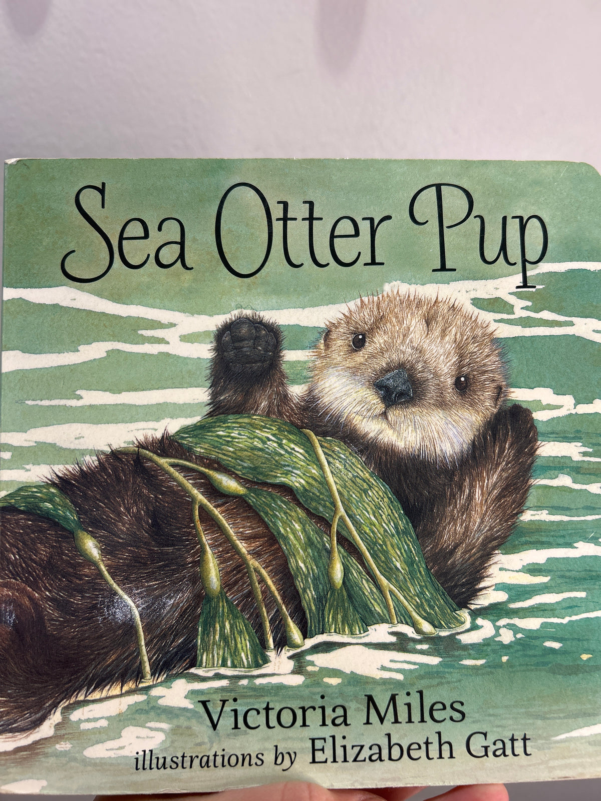 Sea OtterPup