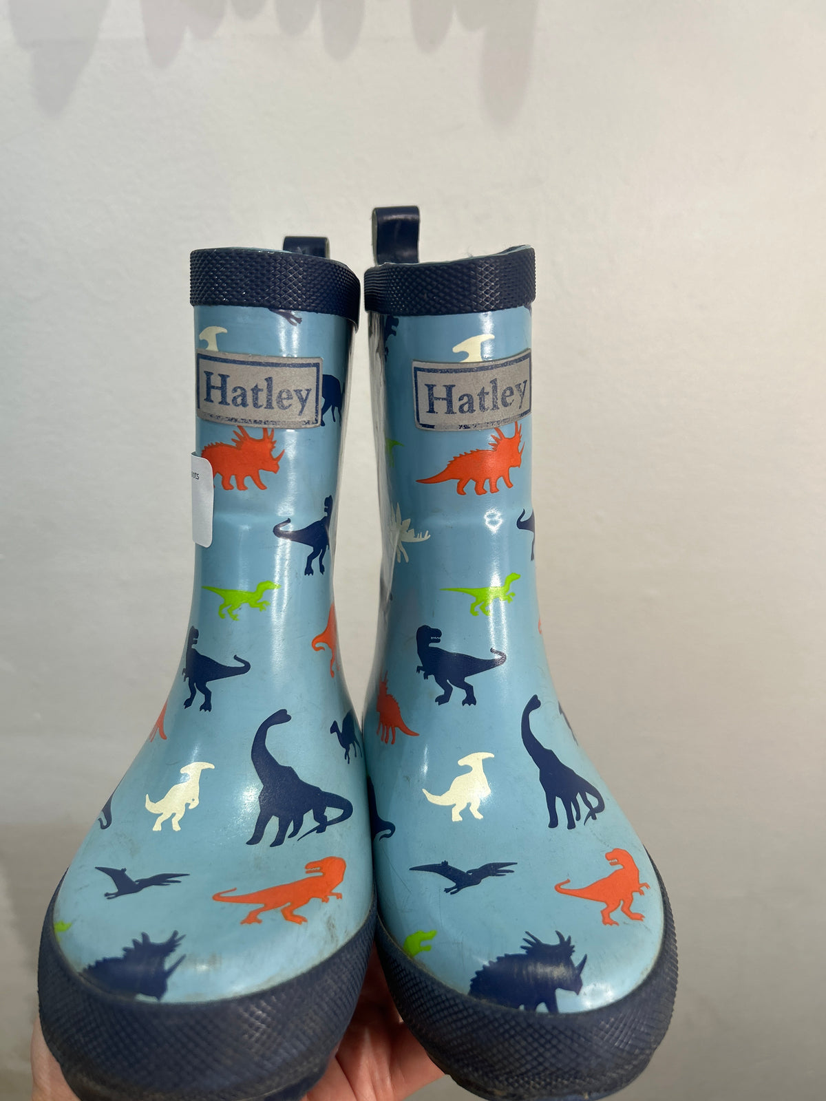 C10 Hatley blue dino rainboots