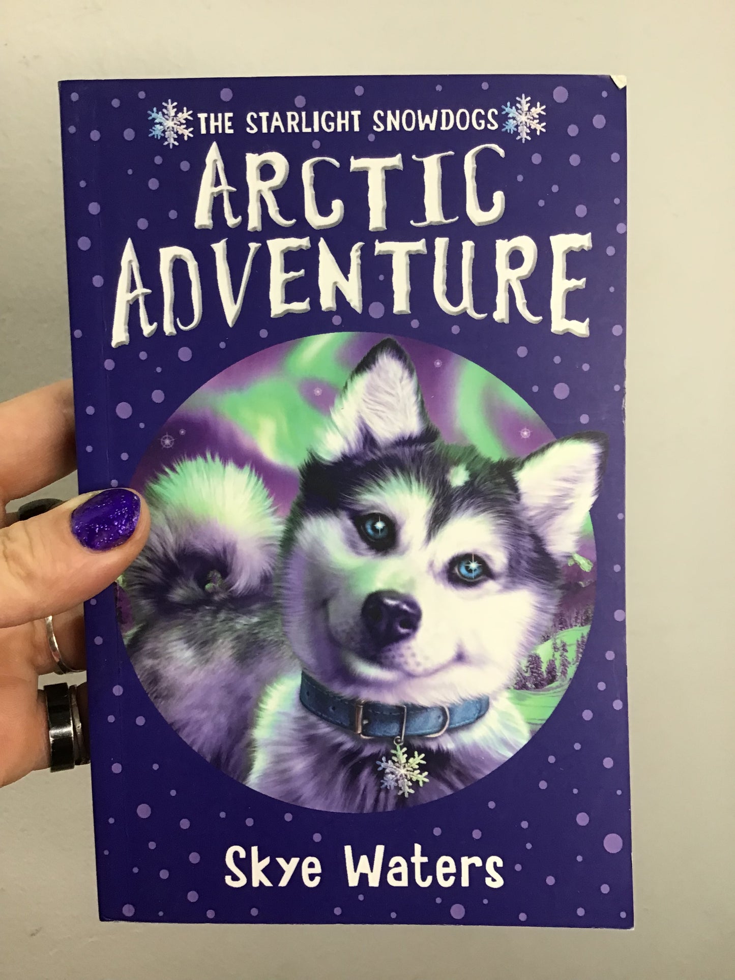 The Starlight Dogs - Arctic Adventure by Skye Waters