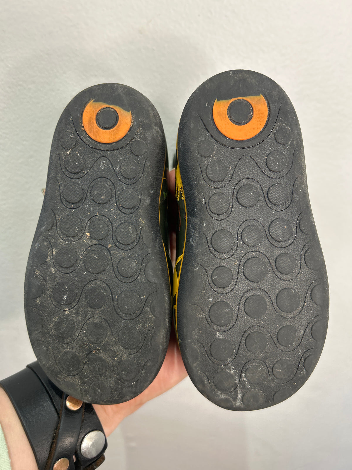 C9 Bogs dino boots