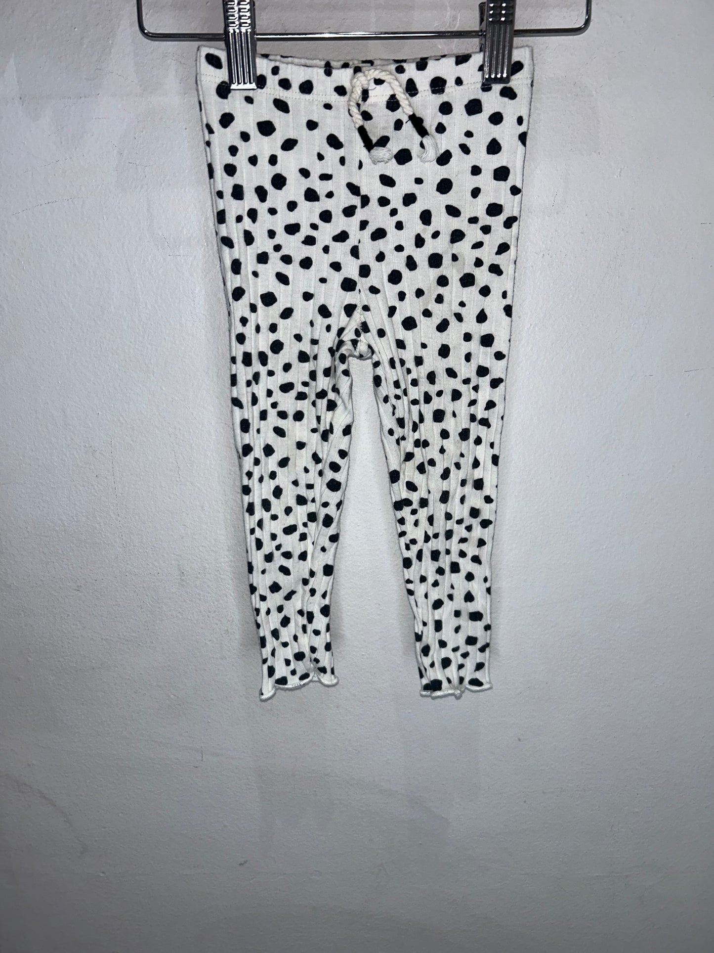 Dalmatian Summer Set 2y