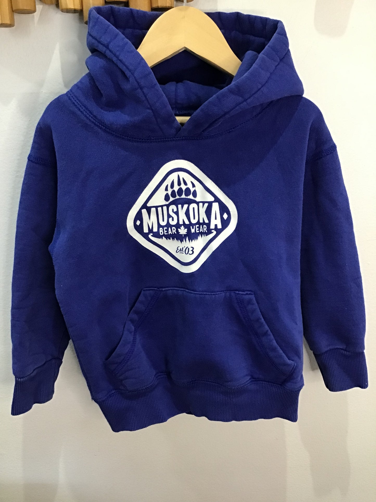 Muskoka Bear blue hoodie 2-3y