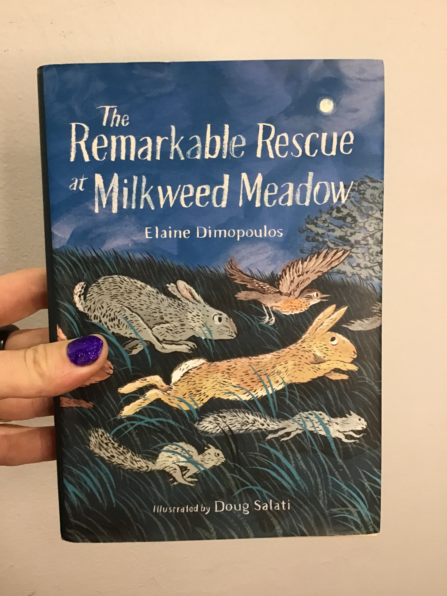 The Remarkable Rescue at Milkweed Meadow (hardcover)