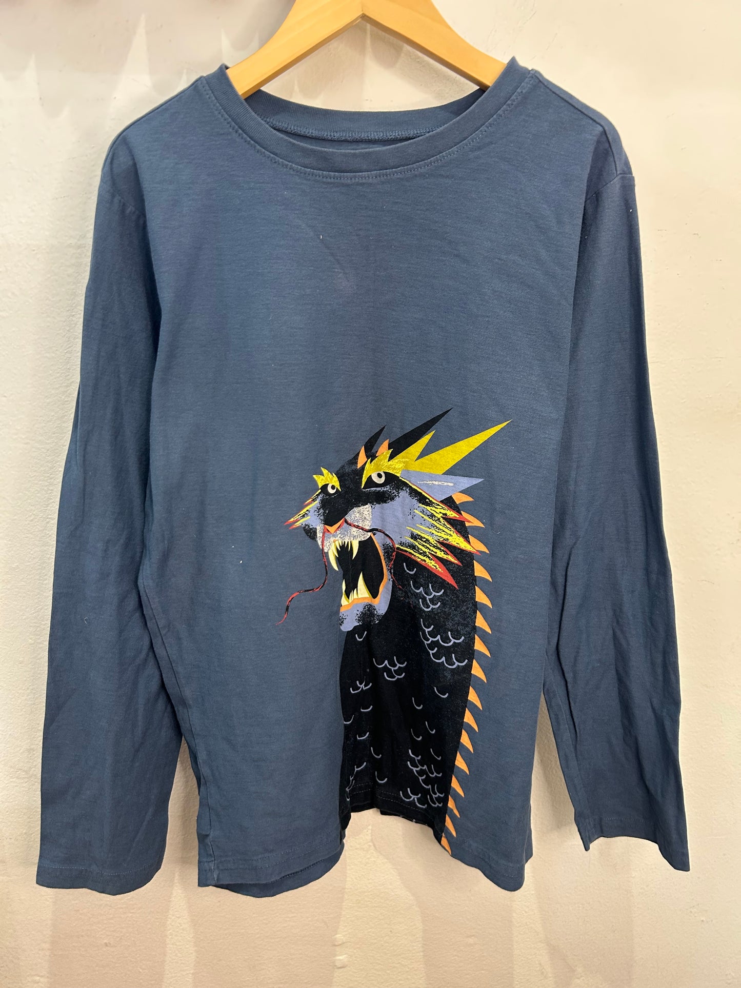 Tea Collection dragon longsleeve 14y