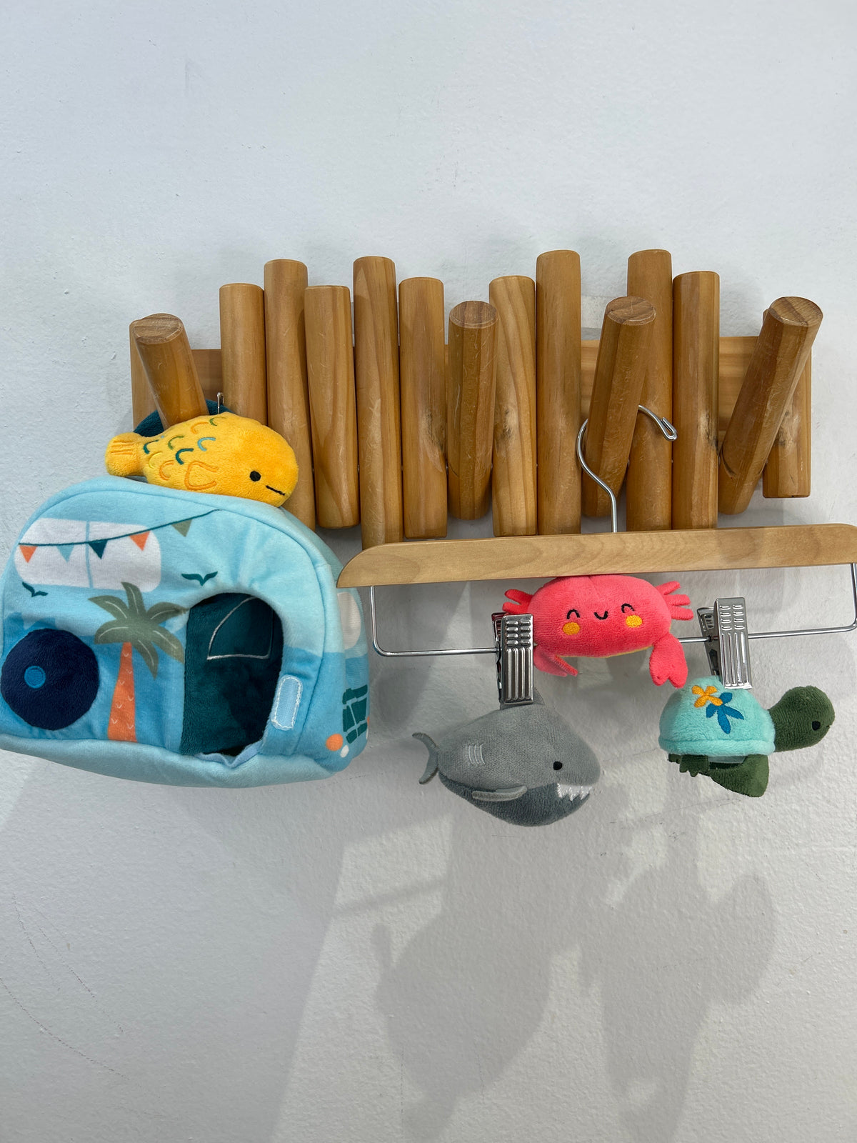 Take along sea creatures