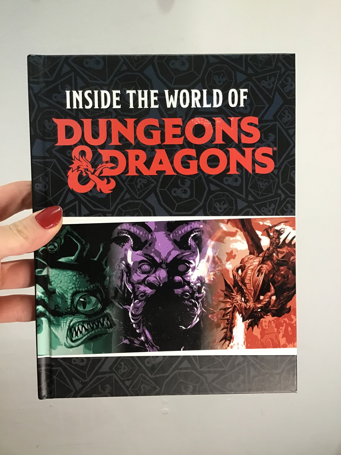 Inside the world of Dungeons and dragons (8-12 year old)