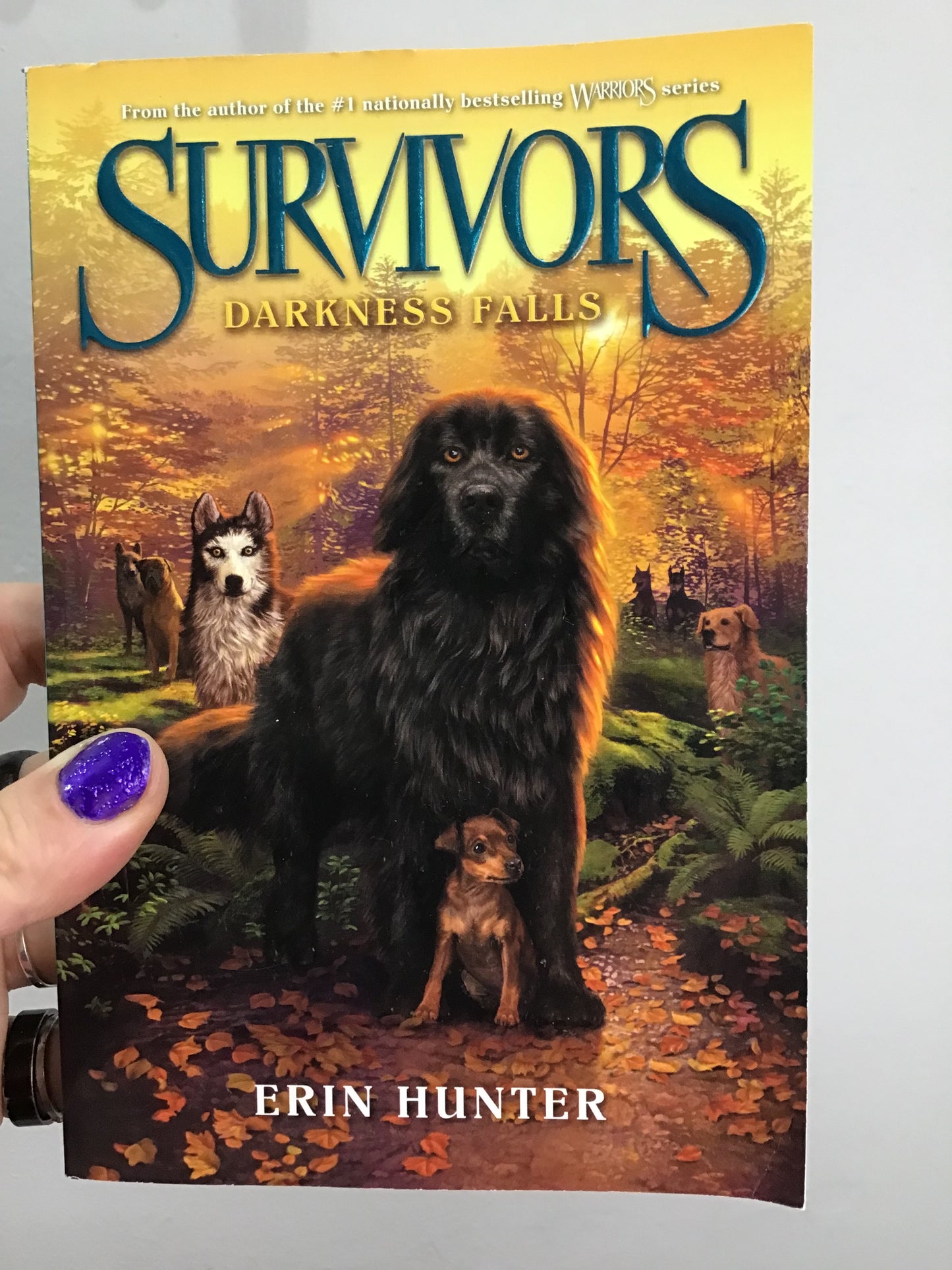Survivors no. 3- Darkness Falls