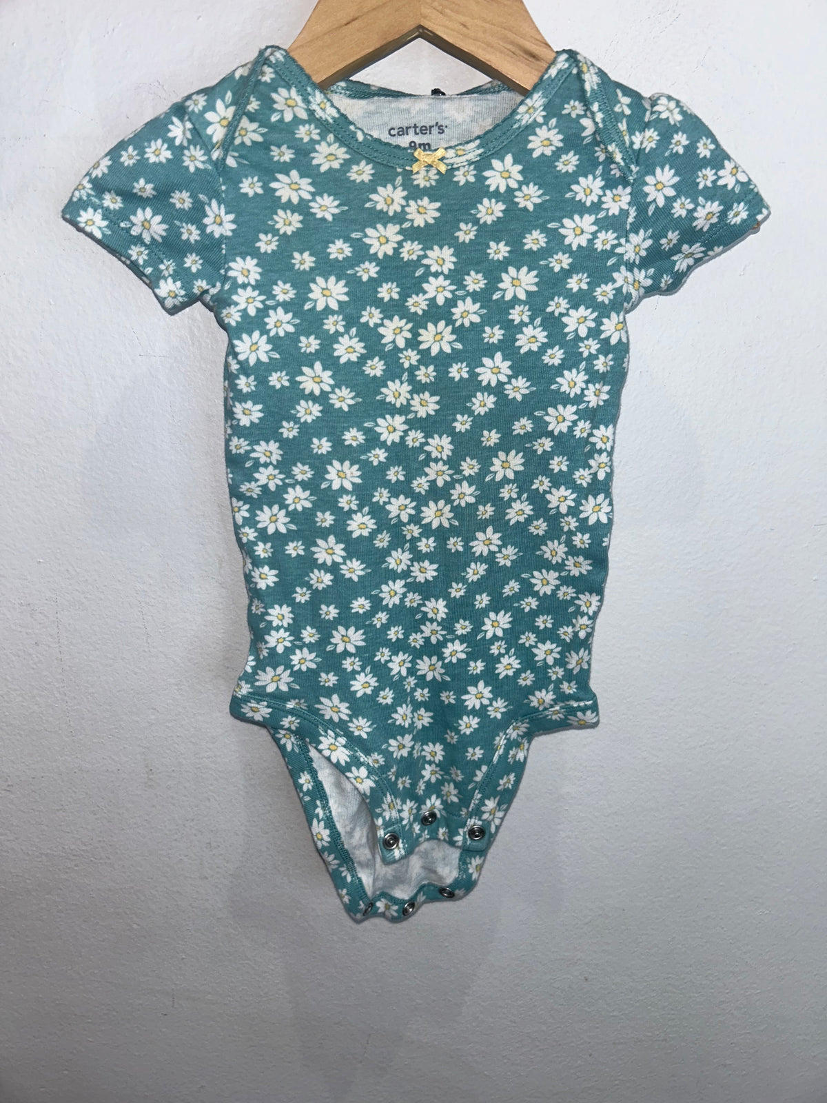 Teal daisies onesie 9m