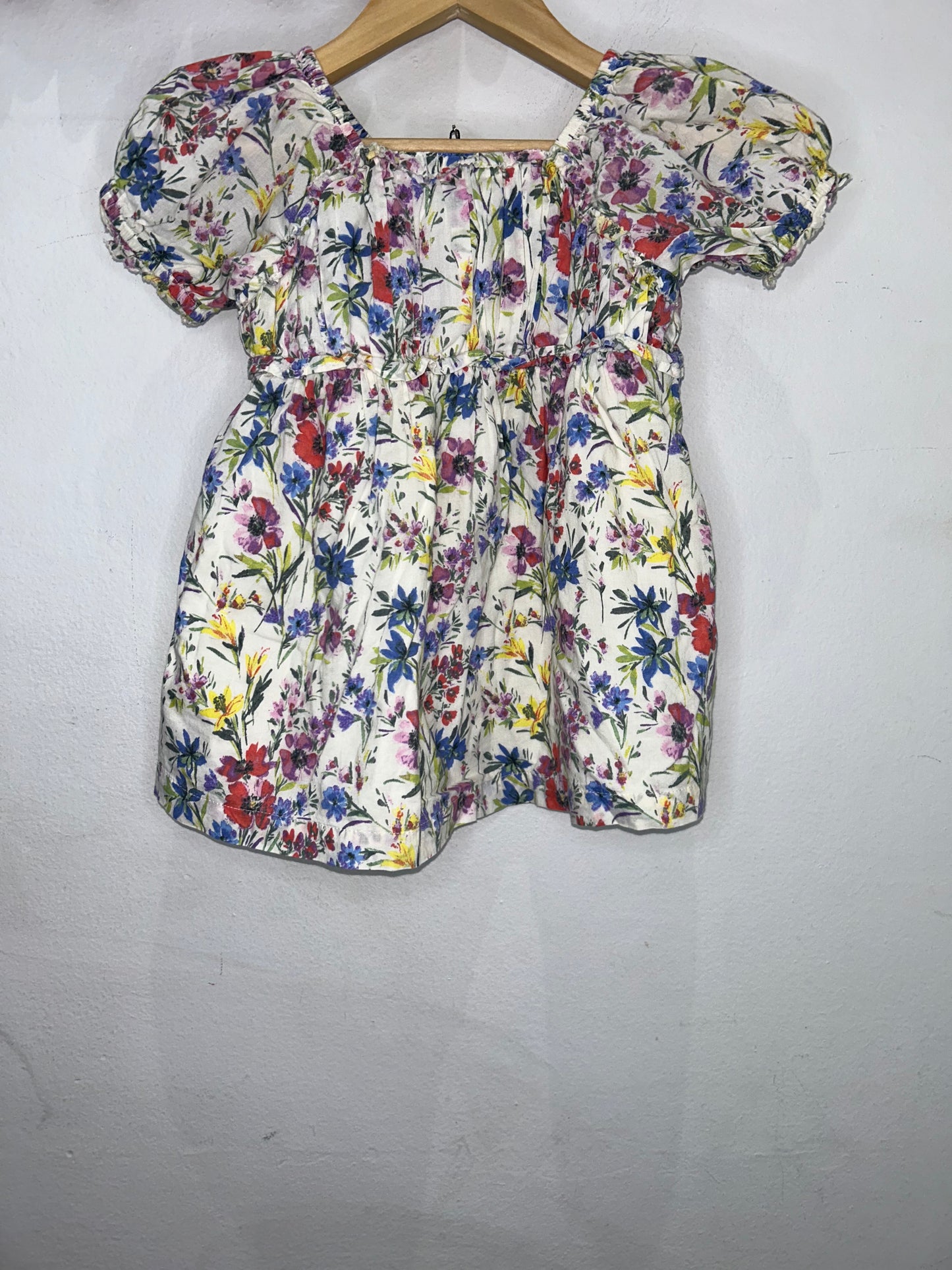 Painted garden dress 18-24m