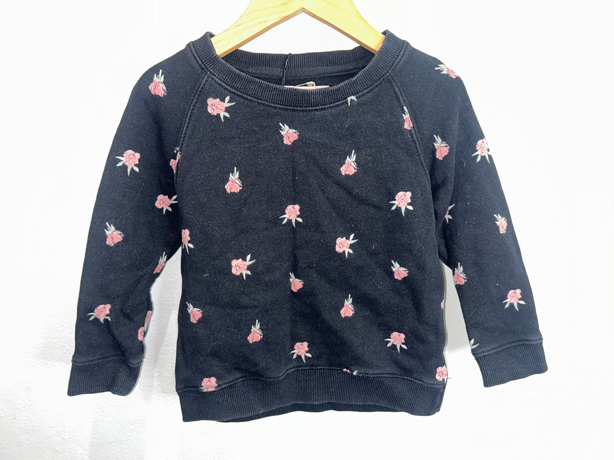 Brunette the Label x Birds Papaya pullove 2-3y