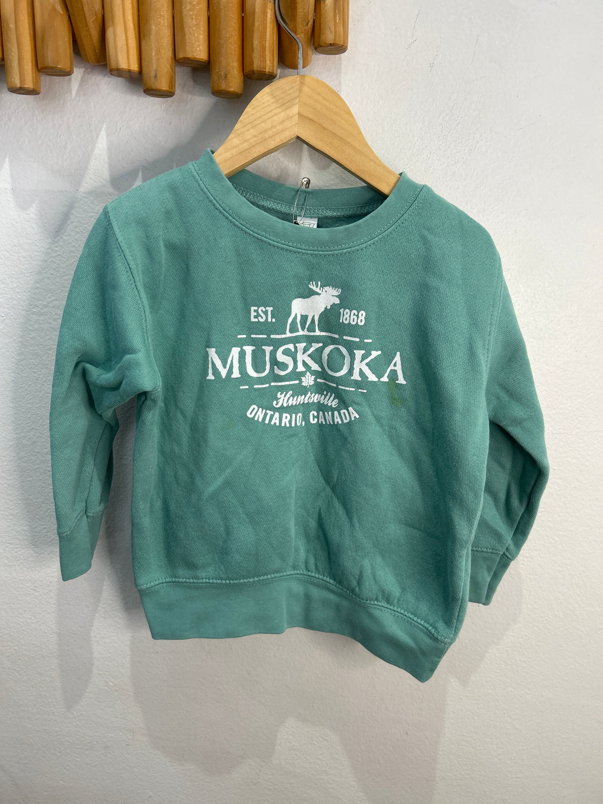 Teal Muskoka pullover 3y