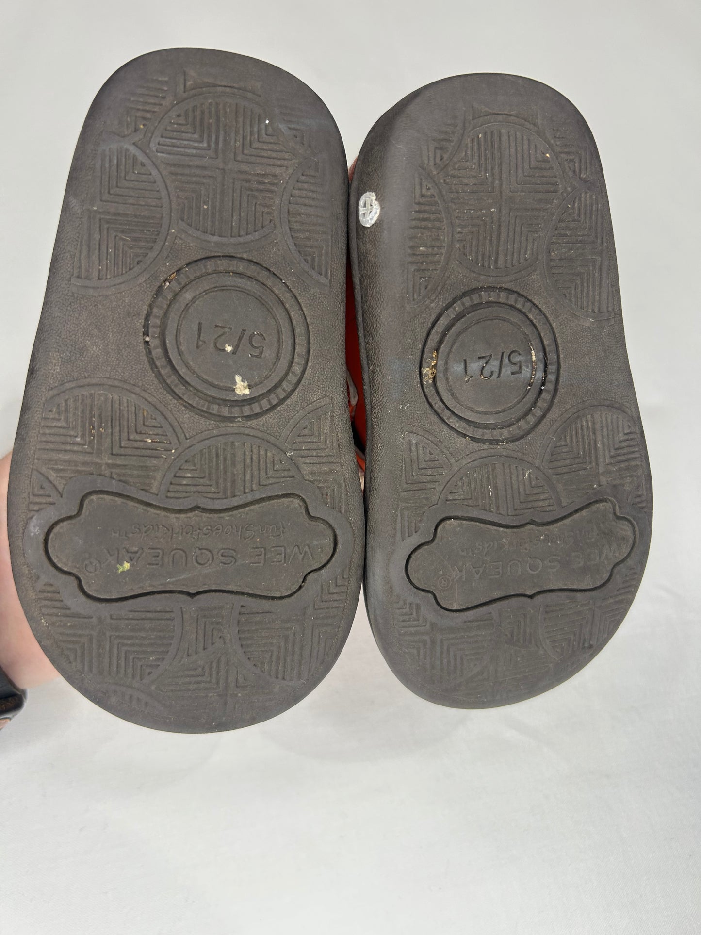 C5 Wee Squeak fox runners