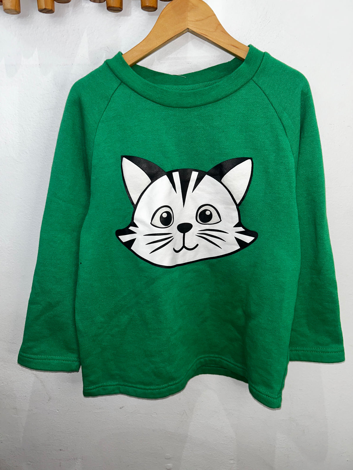 Green cat pullover 10y