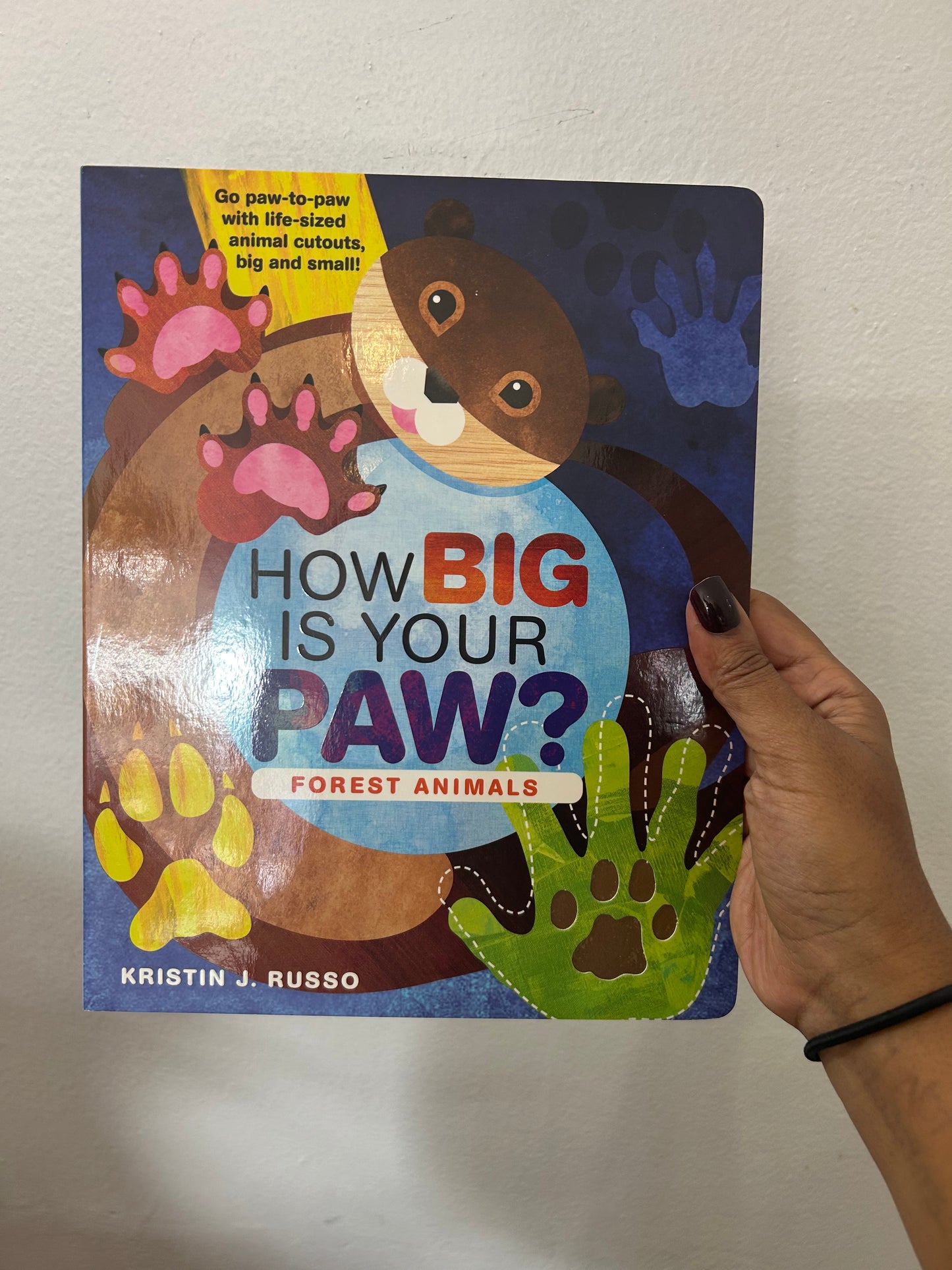 How Big is Your Paw