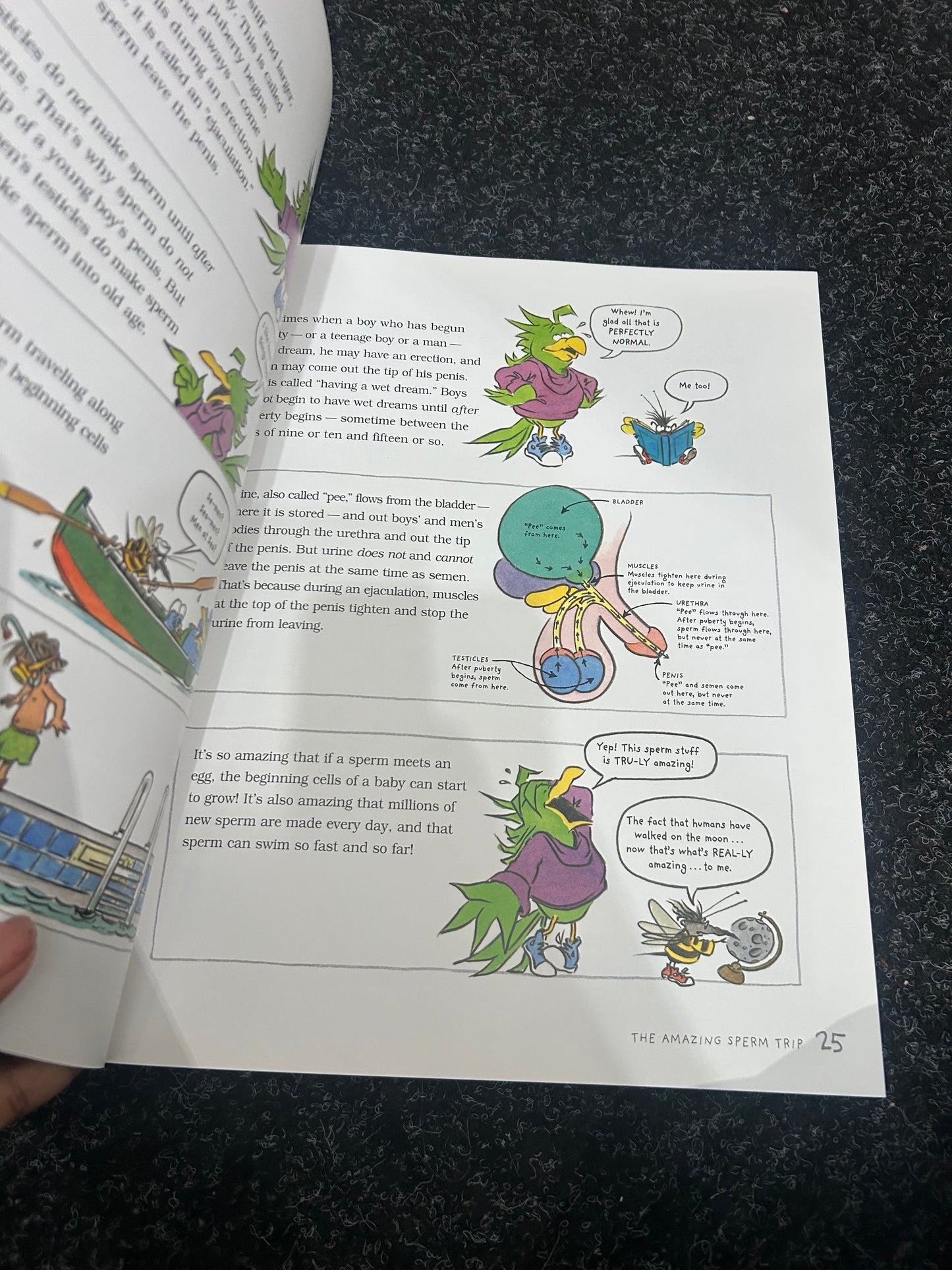 Its So Amazing - Book about Eggs, Sperm etc