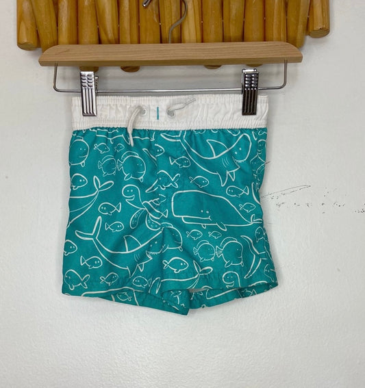 Fish and turtle swimshorts 6-12m