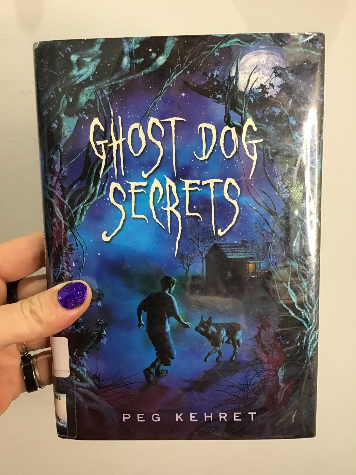 Ghost Dog secrets