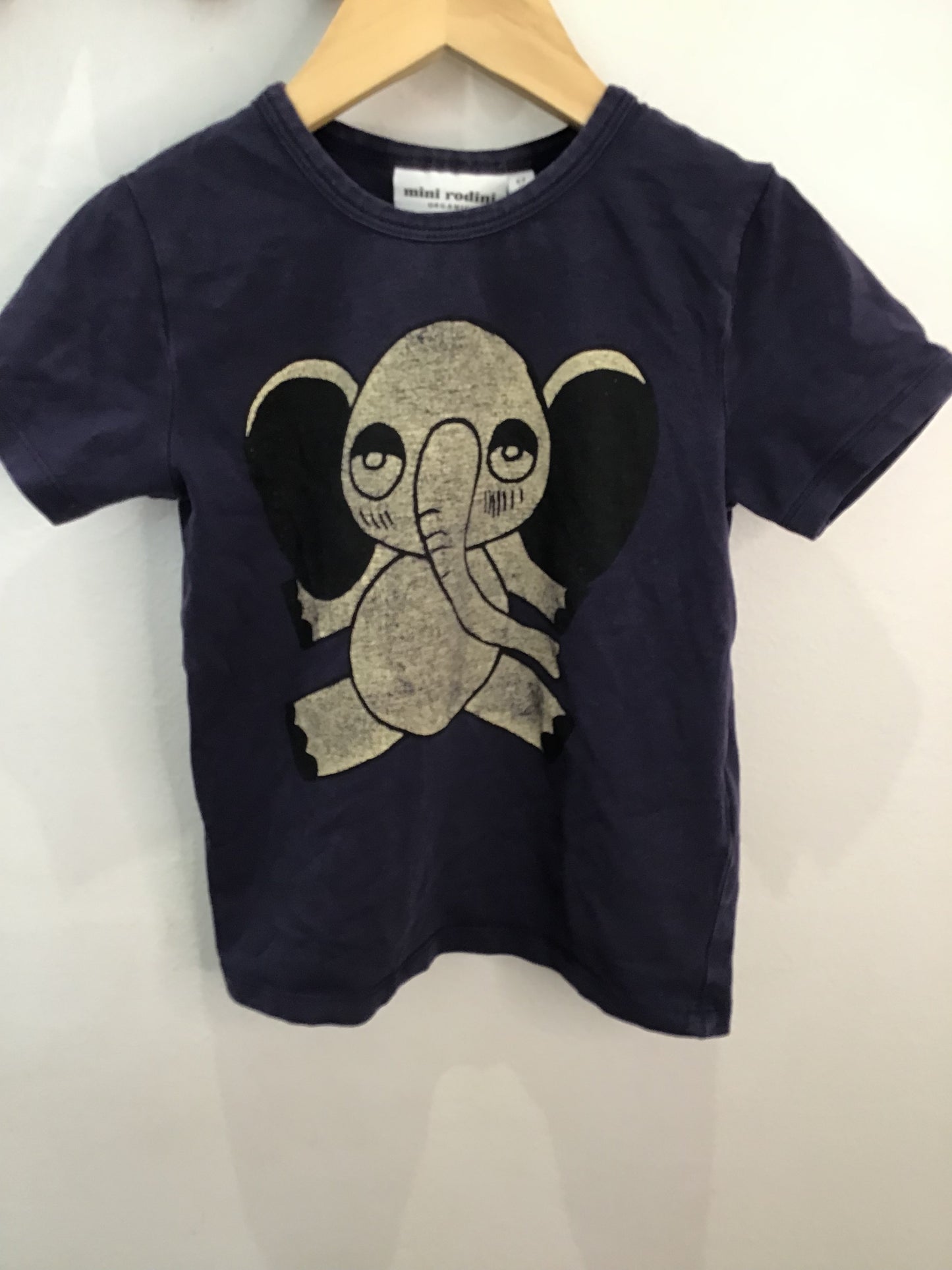 Tee Mini Rodini 2y