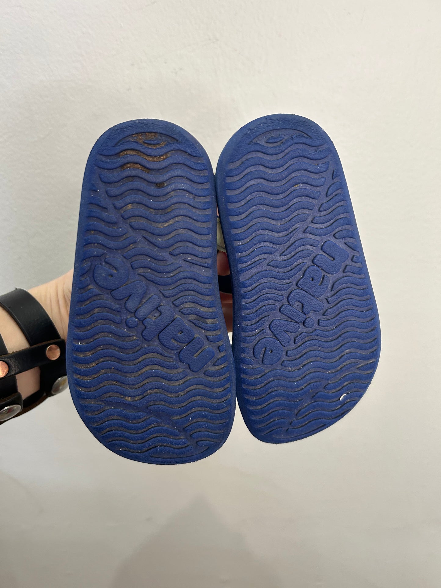 C10 Native charleys silver