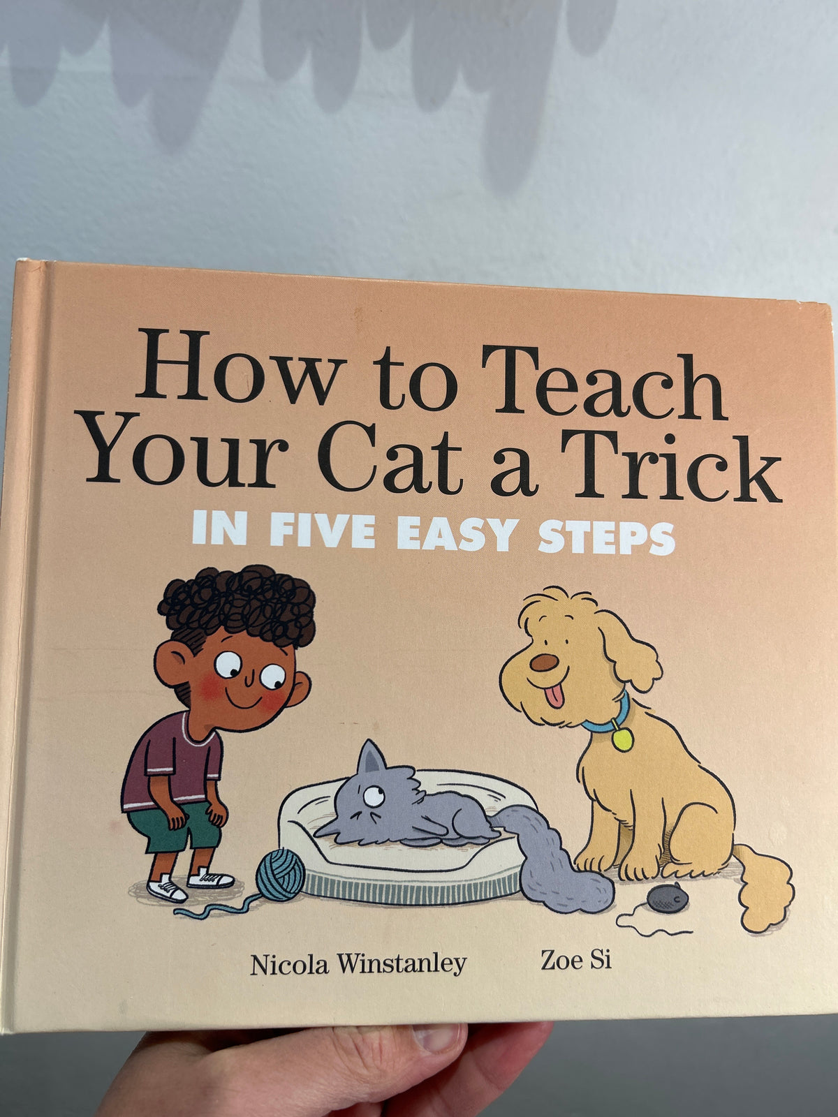 How to teach your cat a trick in five easy steps