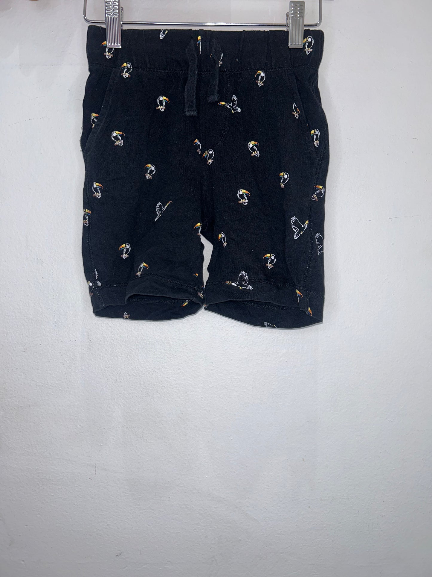 Miles the Label toucan shorts 6y