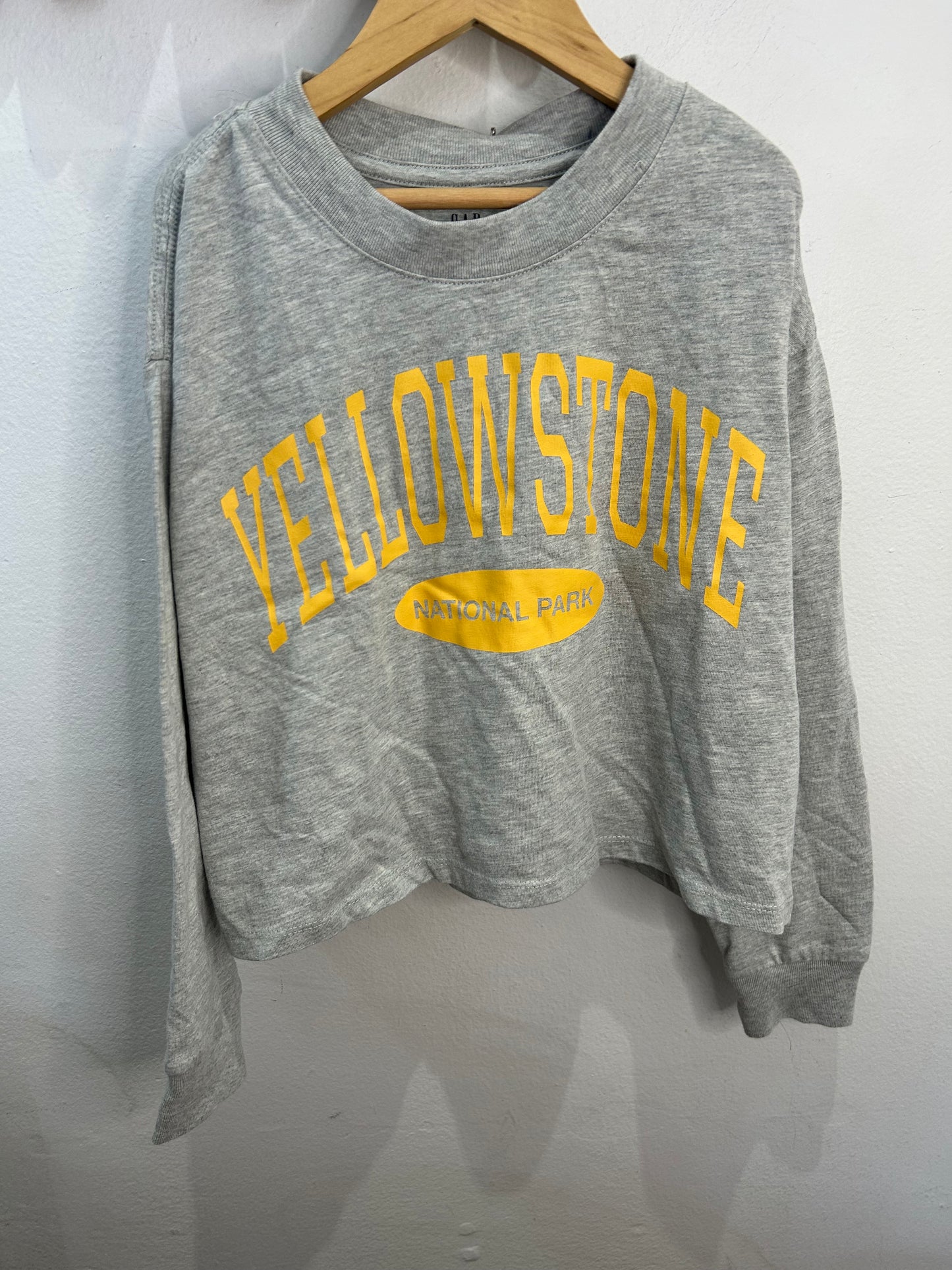 Yellowstone crop longsleeve 10y