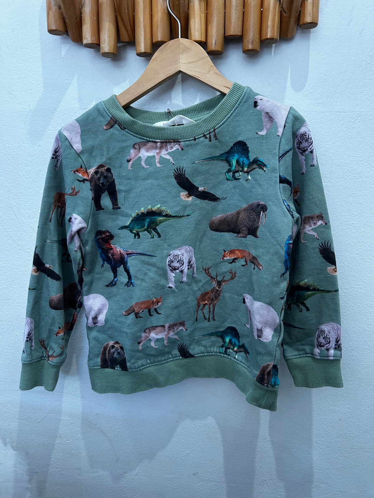 Animals and dinos sweater 6-8y
