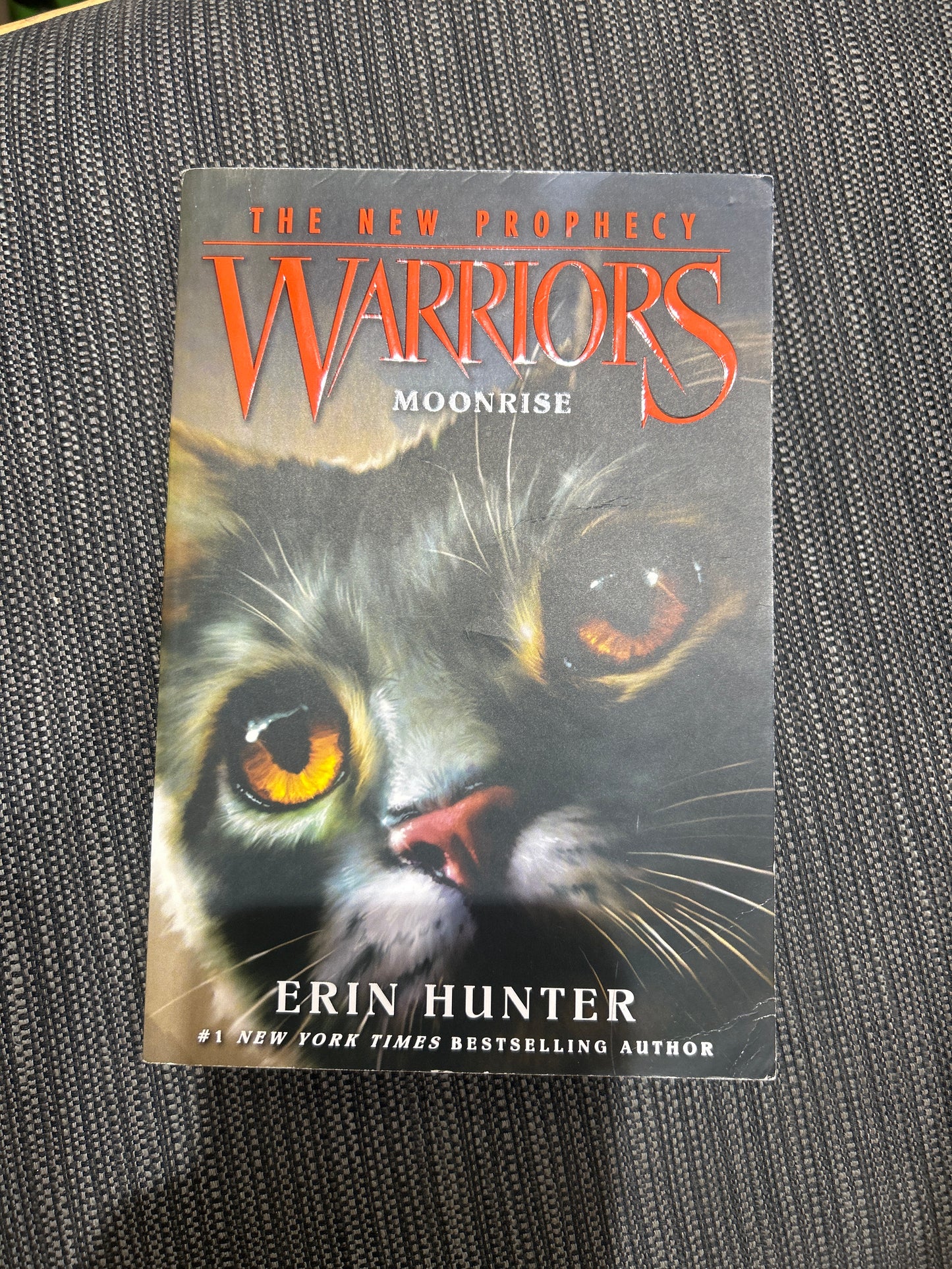 Warriors no. 2 - Moonrise