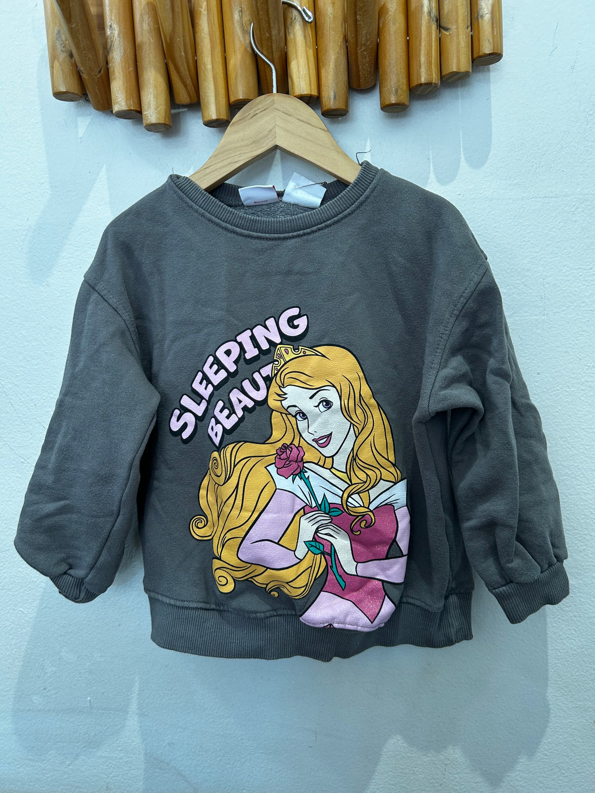 Sleeping Beauty pullover 3-4y