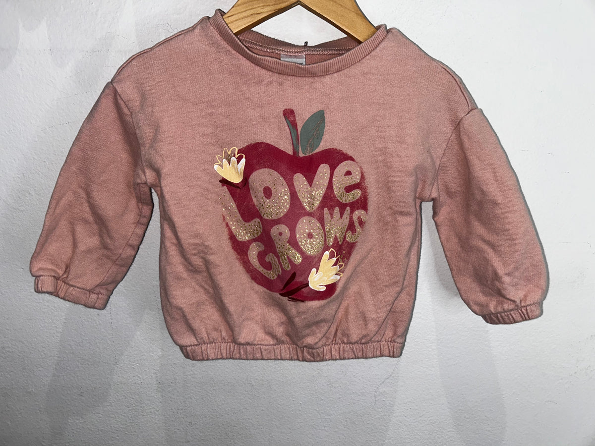 Love grows pullover 18m
