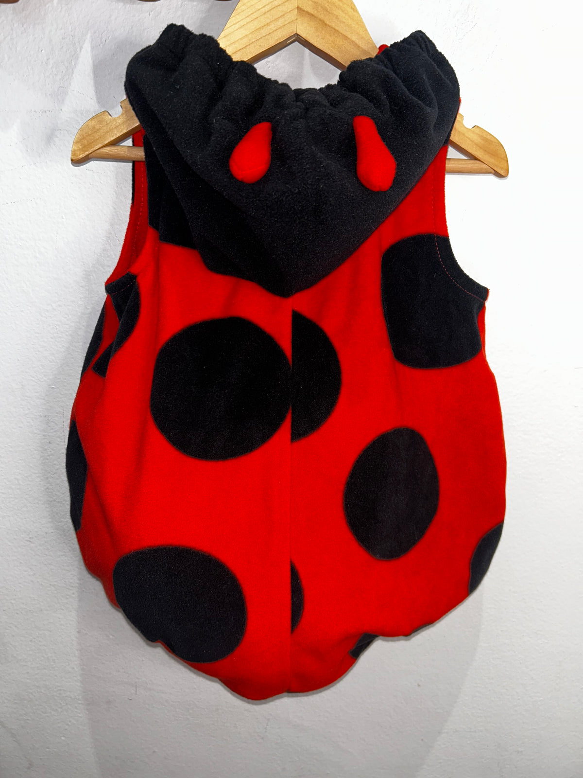Ladybug costume 24m