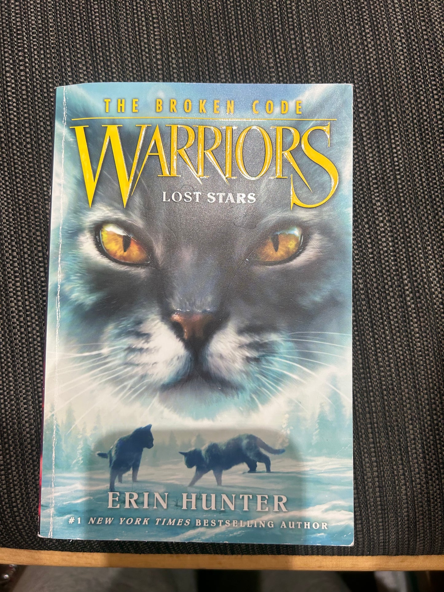 Warriors no. 1 - Lost Stars