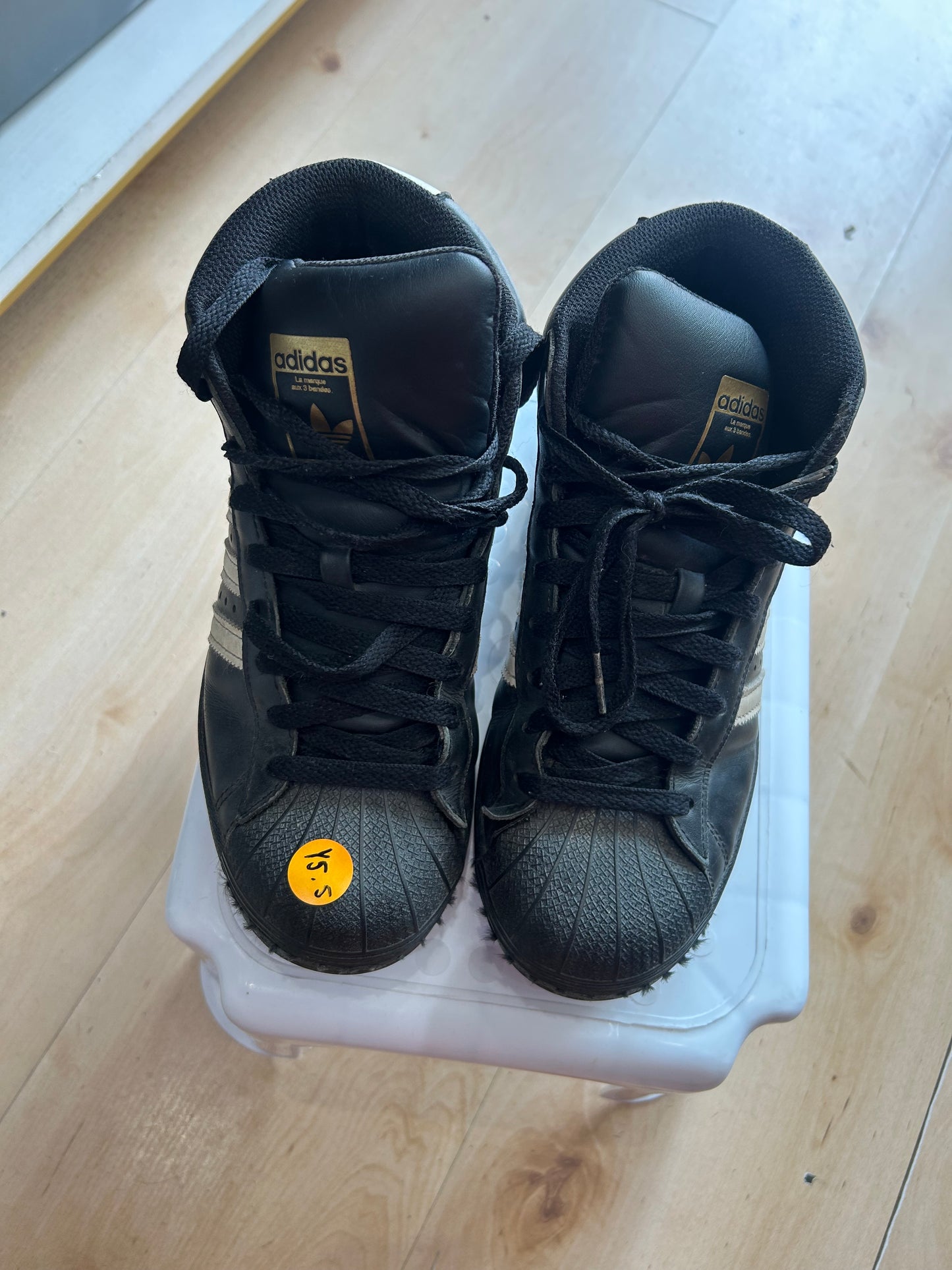 Y6 Adidas hightops
