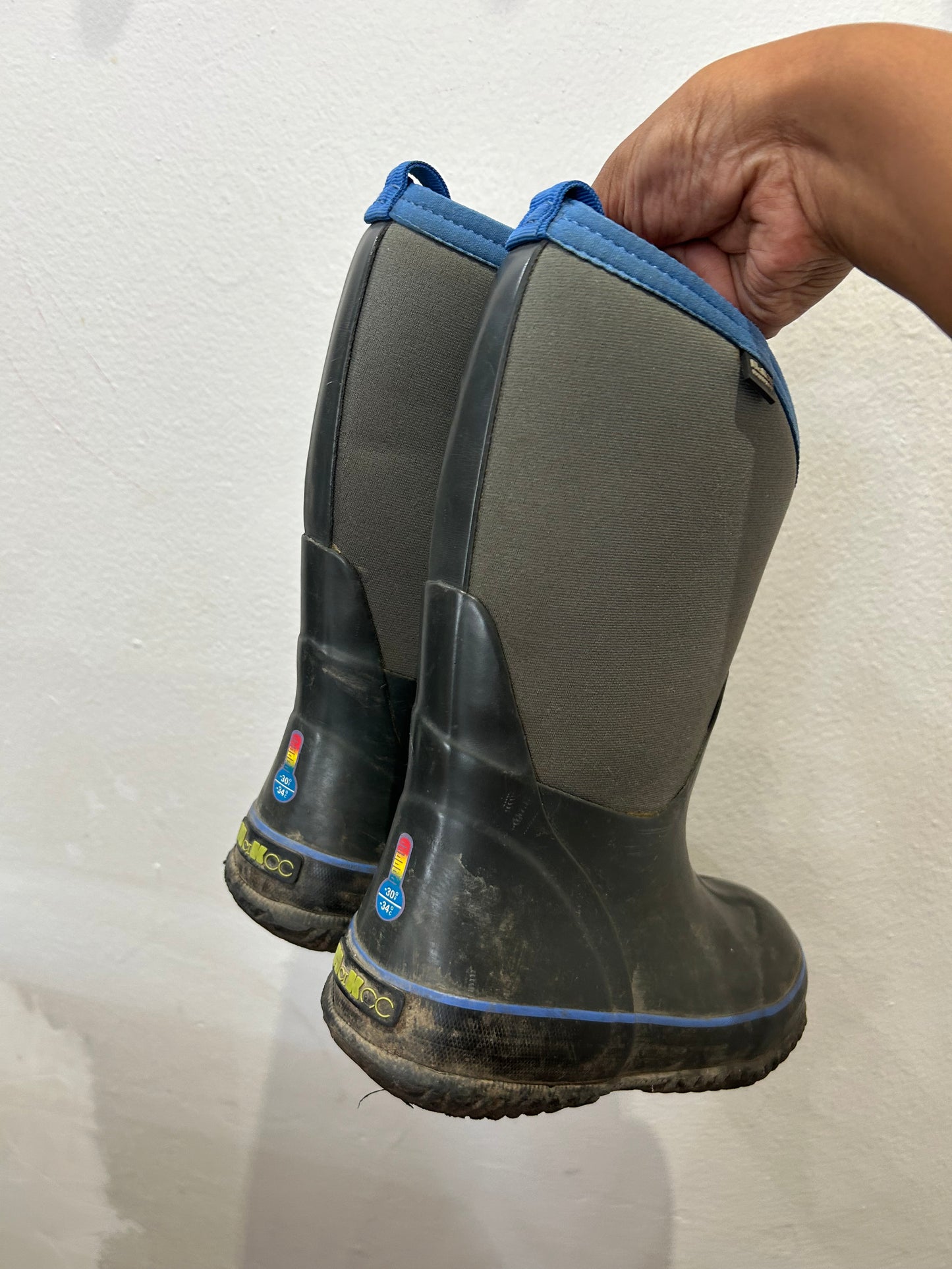 C13 Ash Bogs