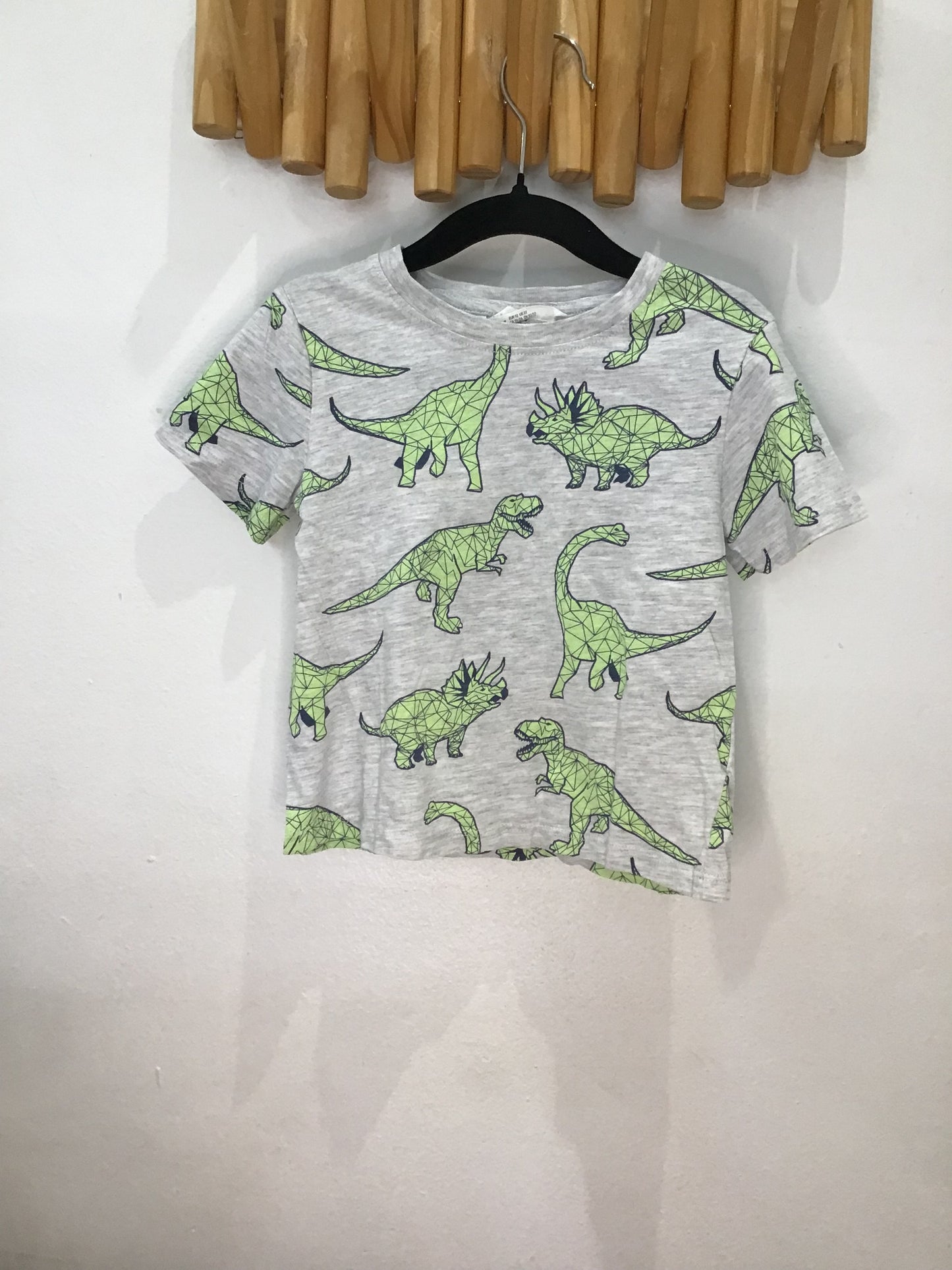 Tee geo dinos 18-24m
