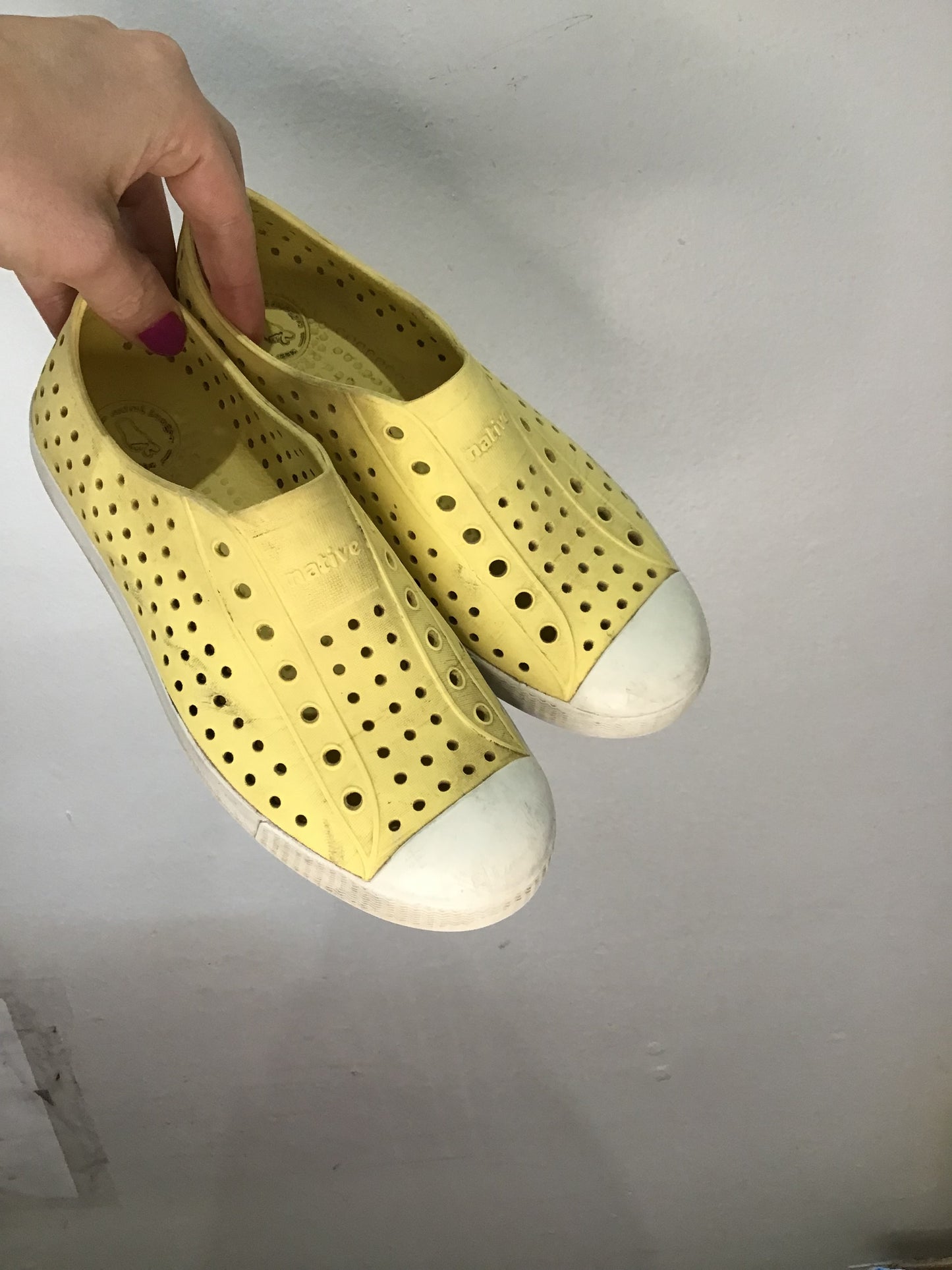 Y4 pastel yellow Natives