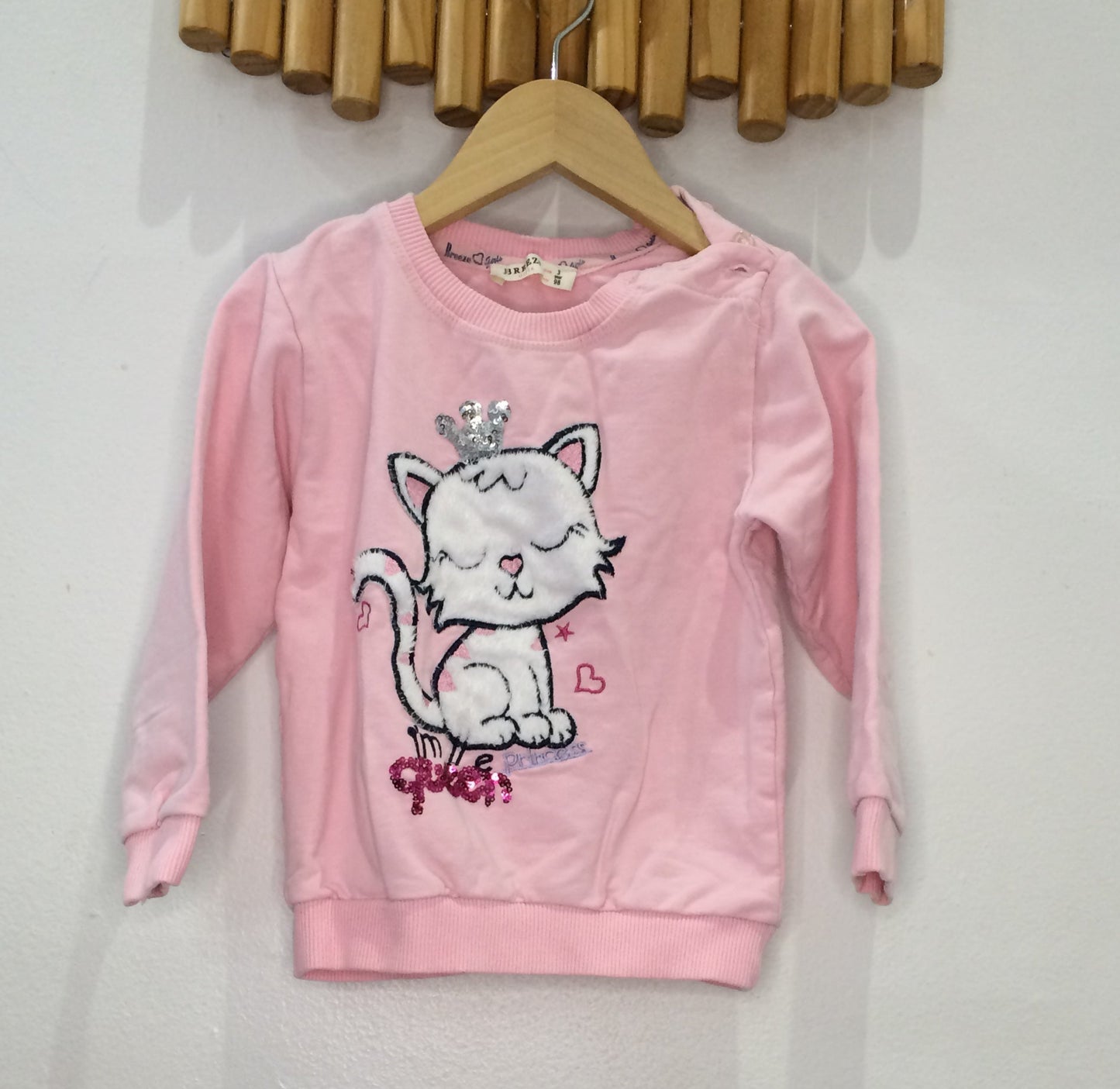 Cat pink pullover 2-3y