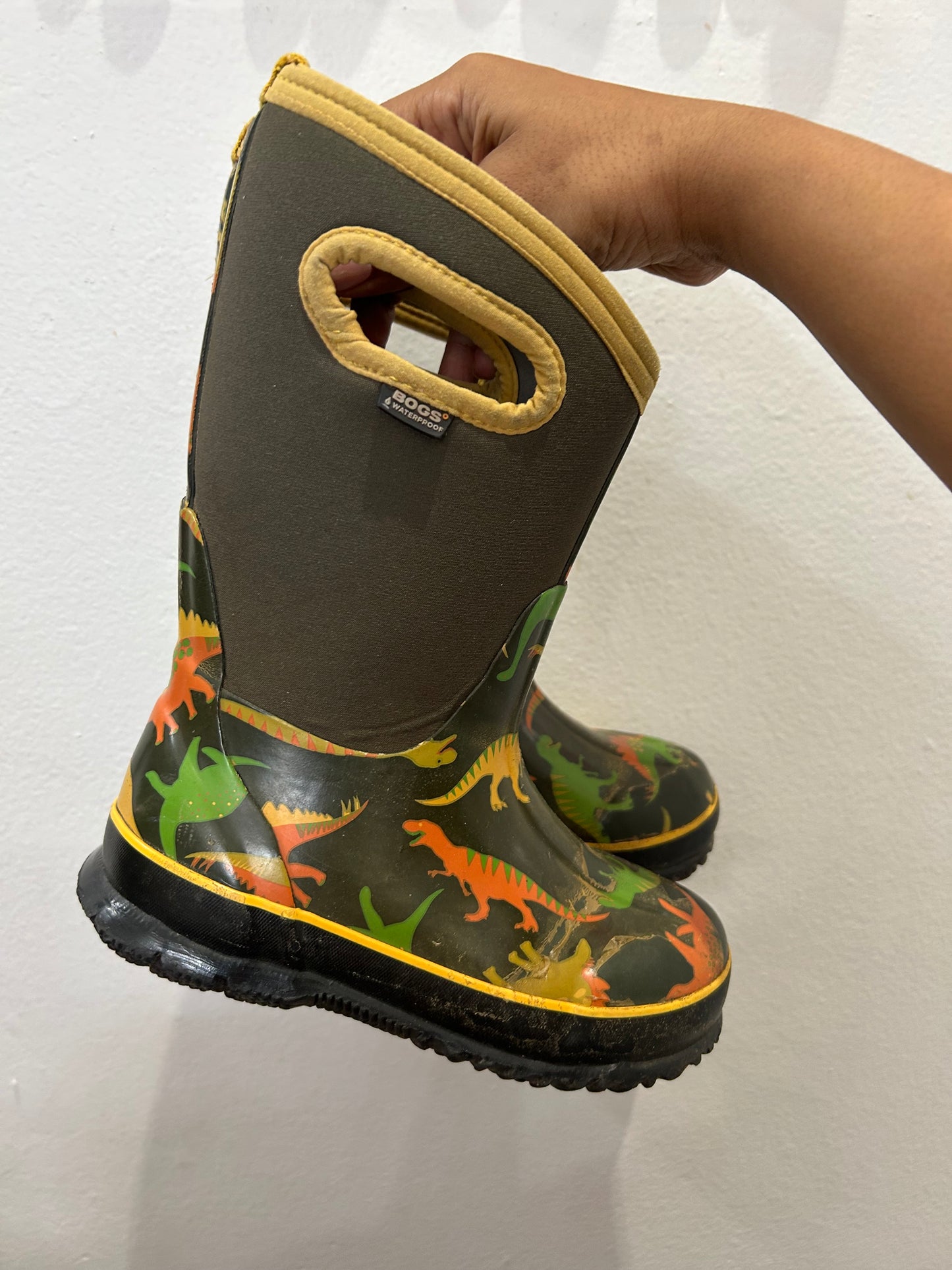 C12 dino Bogs