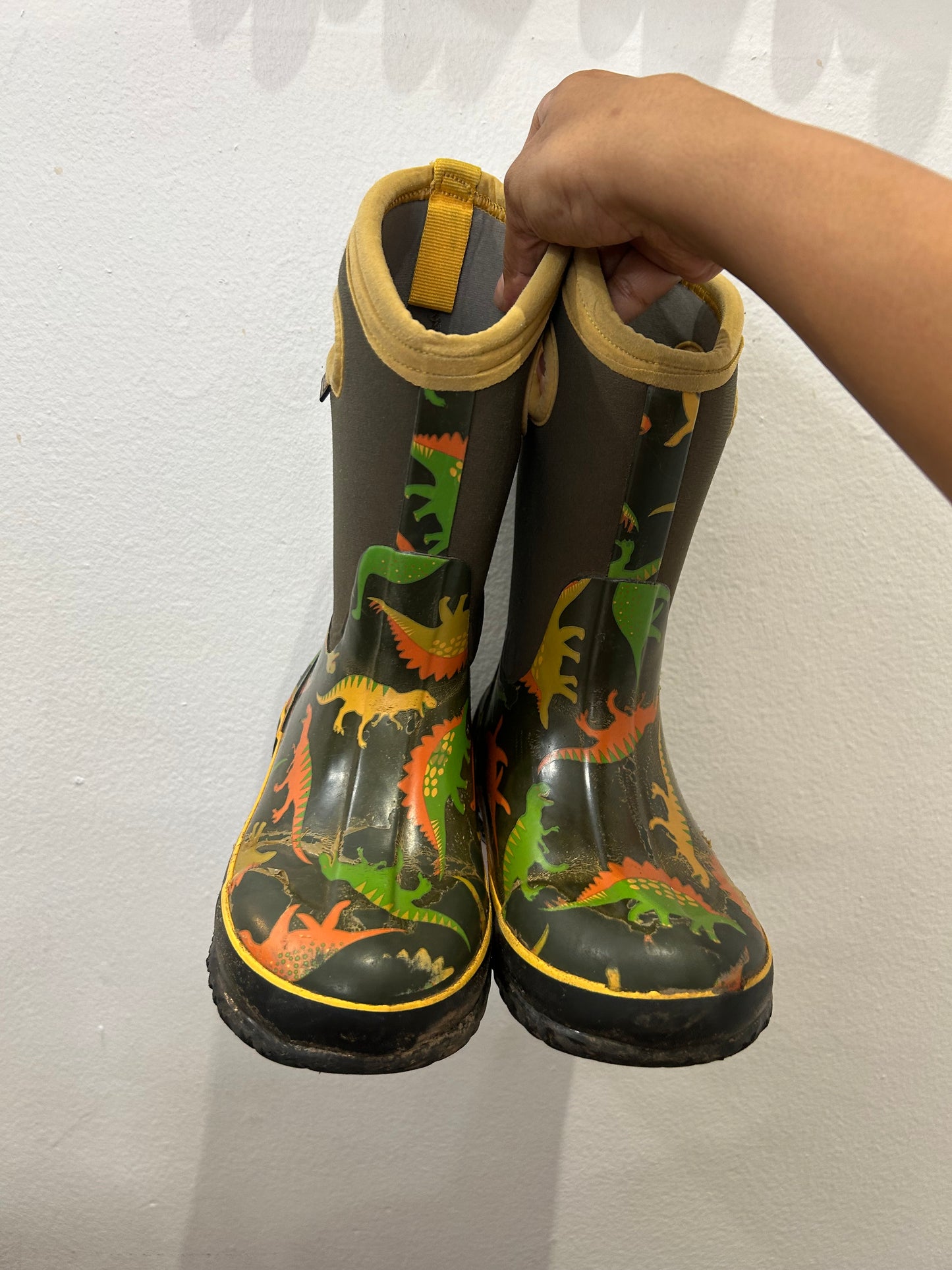 C12 dino Bogs