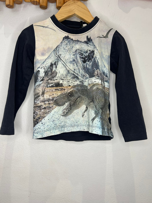 Dino organic longsleeve 24m