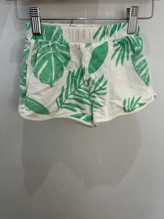 Leaves shorts 18-24m