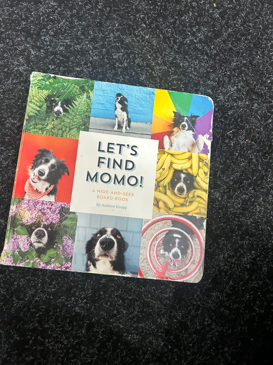 letsfindmomo