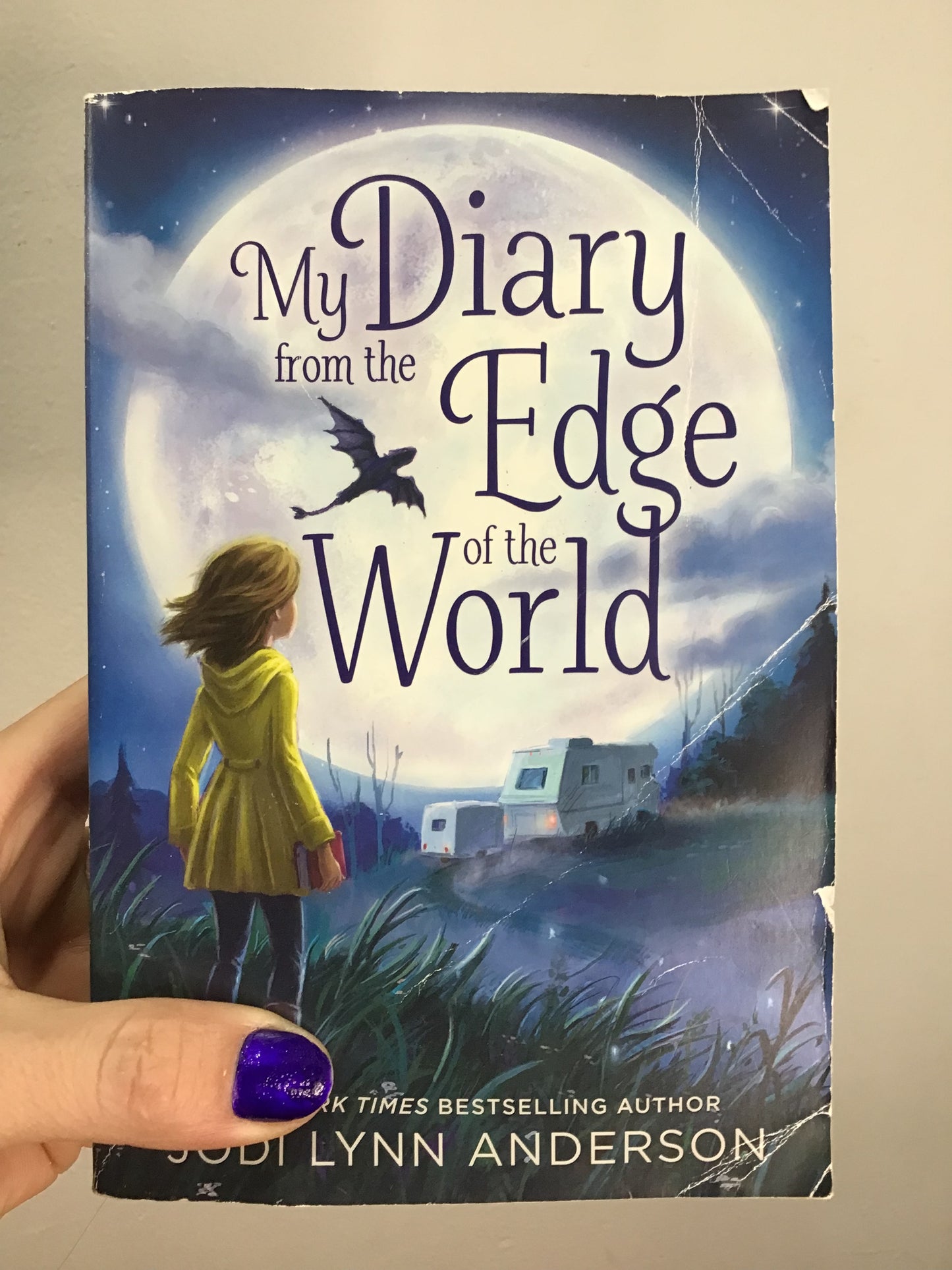 My Diary at the Edge of the World