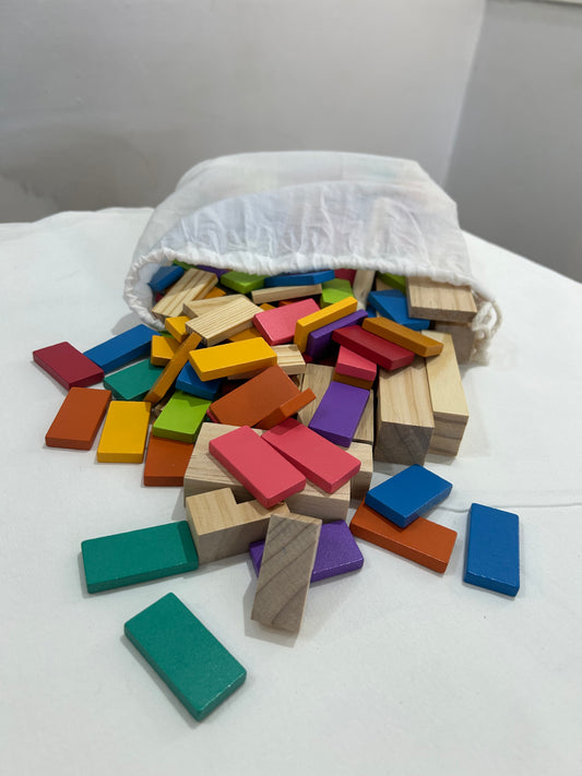 Assorted wooden blocks in bag