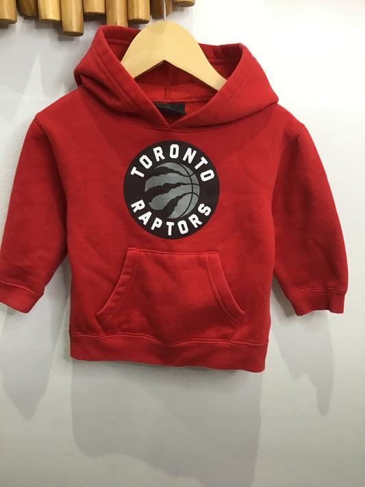 Hoodie Raptors 12m