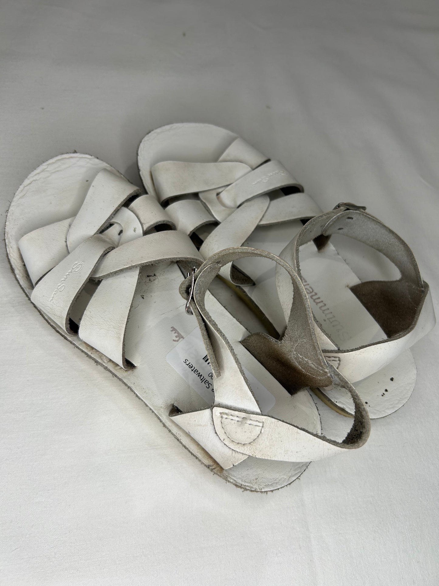 c13 white Saltwaters