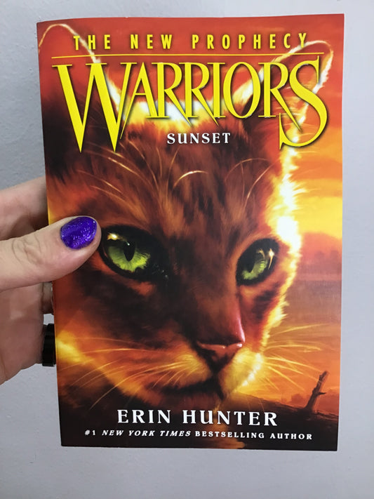 Warriors no. 6 - Sunset