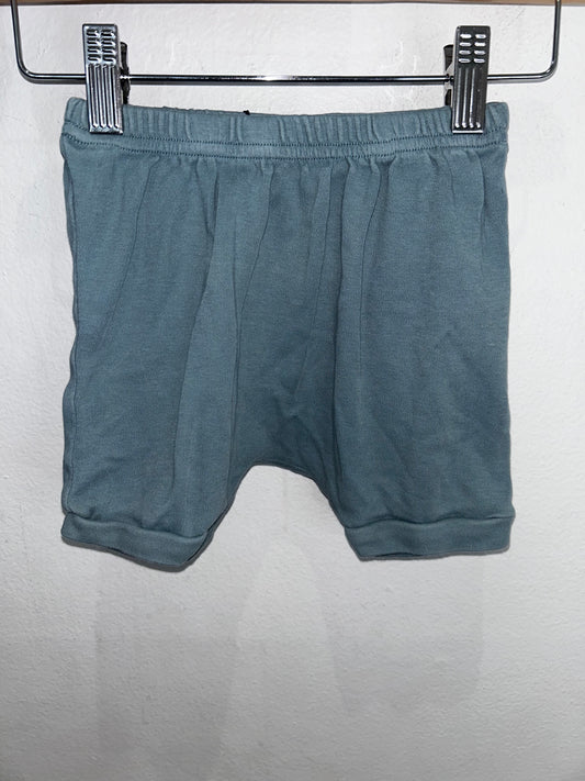 Parade Organics teal shorts 2y
