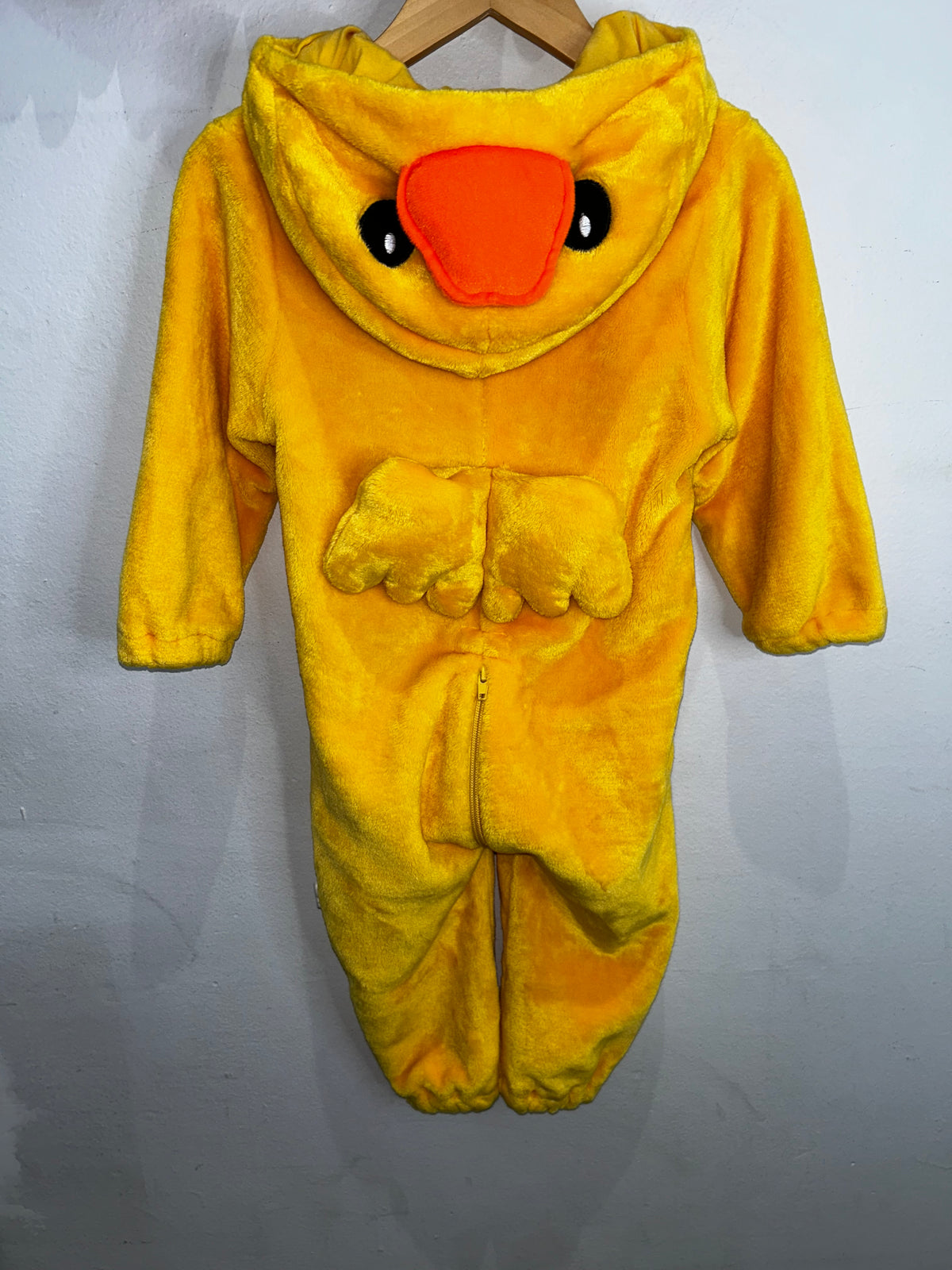Duck costume 3y