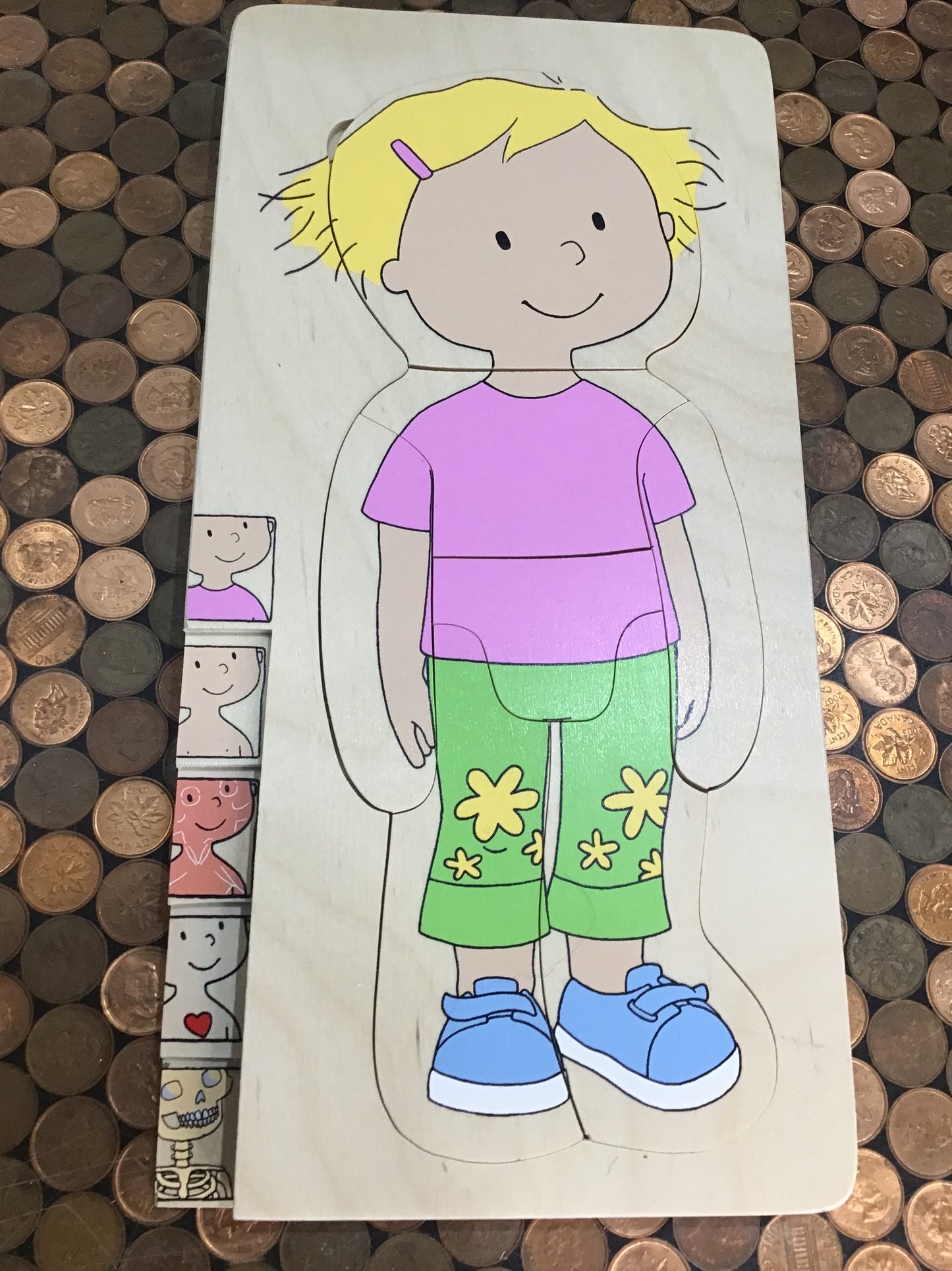 German-made anatomy and body parts puzzle